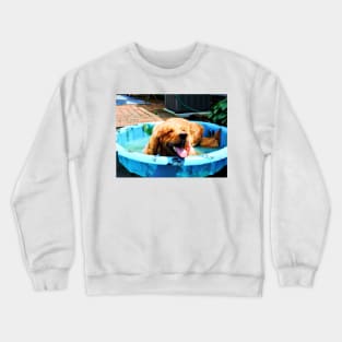 Cool Dawg Crewneck Sweatshirt